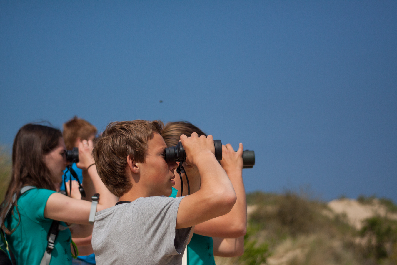 Zomerkampen voor jongeren in de natuur!