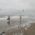 schouwen strand